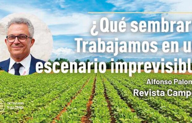 ¿Qué sembrar? Trabajamos en un escenario imprevisible
