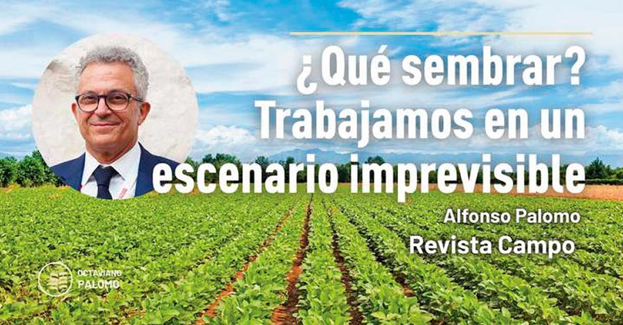 ¿Qué sembrar? Trabajamos en un escenario imprevisible